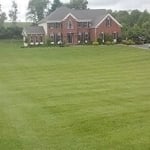 Lawn Maintenance