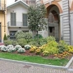 plant design and installation