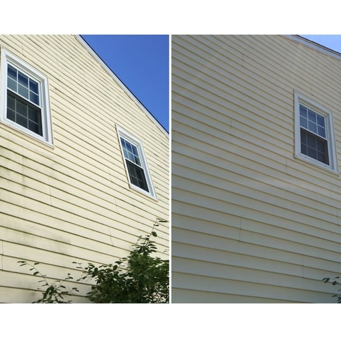 Mold remover