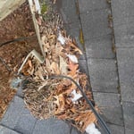 Gutter Cleaning Project
