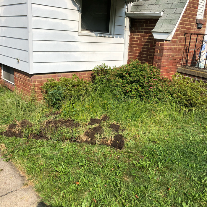 Additional Photos