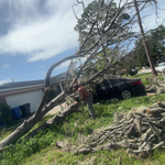 Tree Service Project