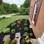 Mulching and planting