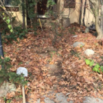 Front door sidewalk