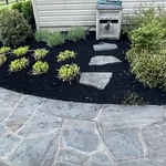 Cleaning and mulching