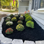 Planting and mulching