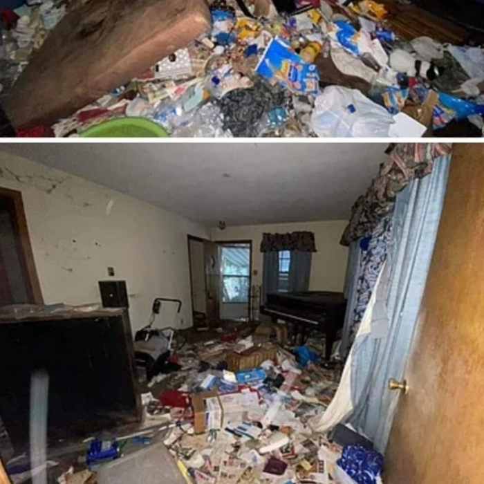 Interior at start. It required 7 dumpsters to empty the contents.