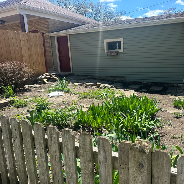 Additional Photos