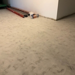 Carpet demo