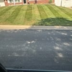 Mulch bed make over