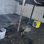 Mold Testing & Remediation Project