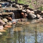 Landscaping Project