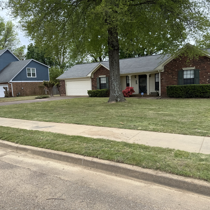 Additional Photos
