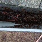 Debris inside gutters