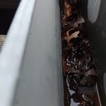 Debris in gutter