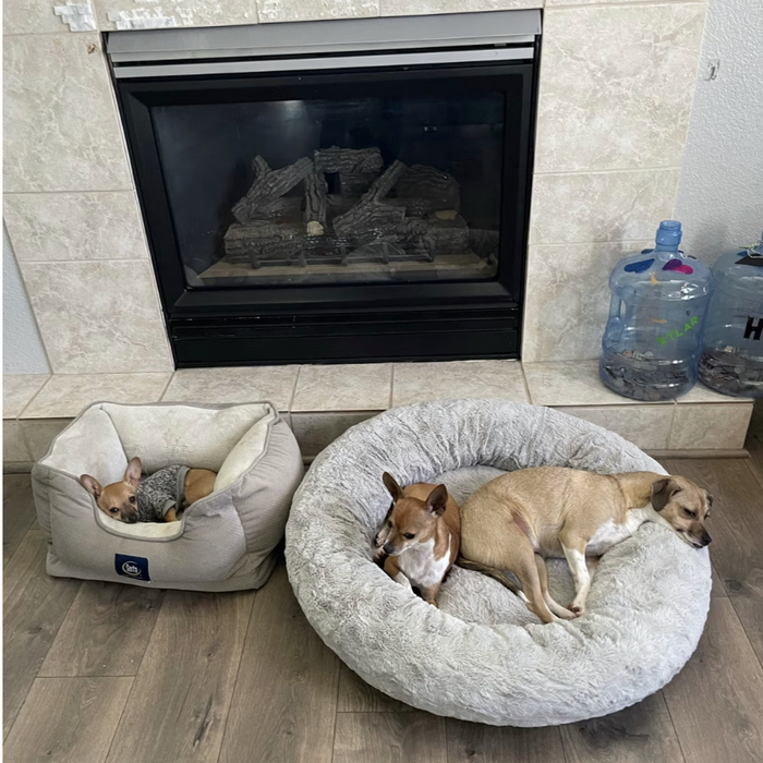 Additional Photos