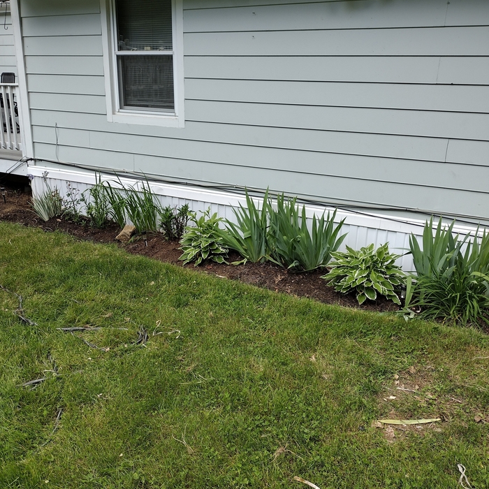 Remodeling - General Project