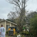 Tree Service Project