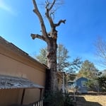 Tree Service Project