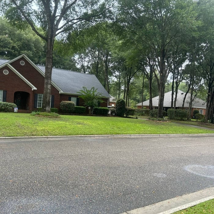 Tree Service Project