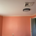 Ceiling Replacement