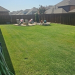 Yard clean up