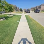 Yard clean up