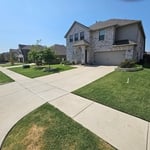 Yard clean up