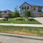 Yard clean up