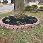 Landscaping Project