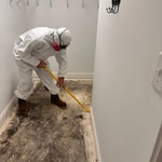 Mold abatement demo
