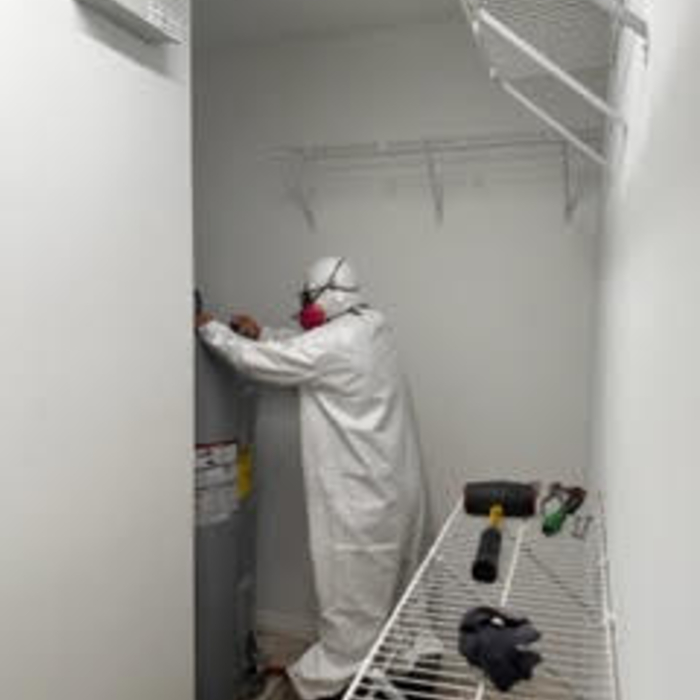 Mold abatement demo