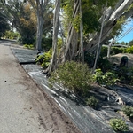 Landscaping Project