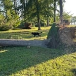 Tree Service Project