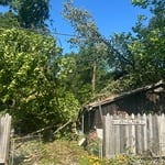 Tree Service Project