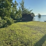 Tree Service Project