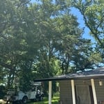 Tree Service Project