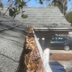 Pressure Washing Project
