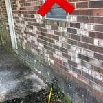 Brick cleaning