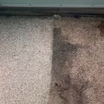 Residential Carpet Cleaning