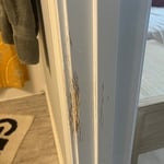 Cat destruction trim repair