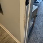 Cat destruction trim repair
