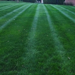 Landscaping Project