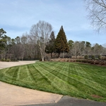 Landscaping Project