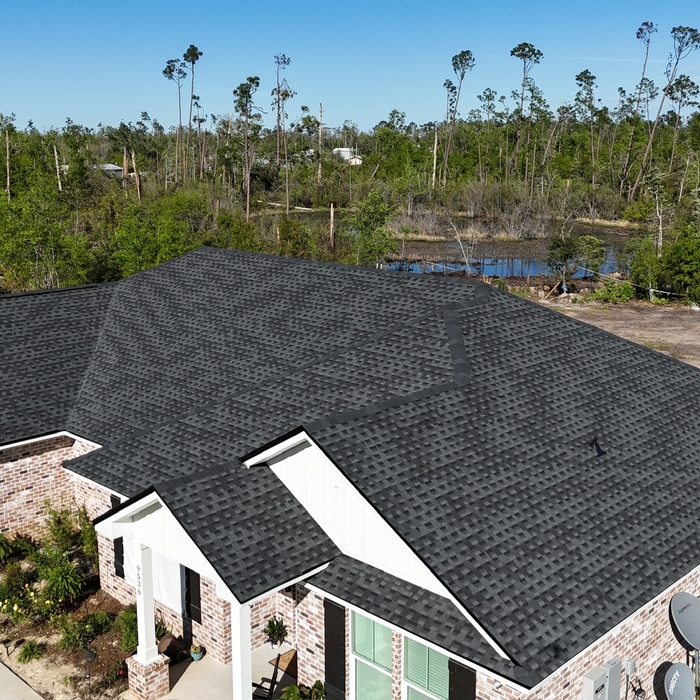 Shingle Roof