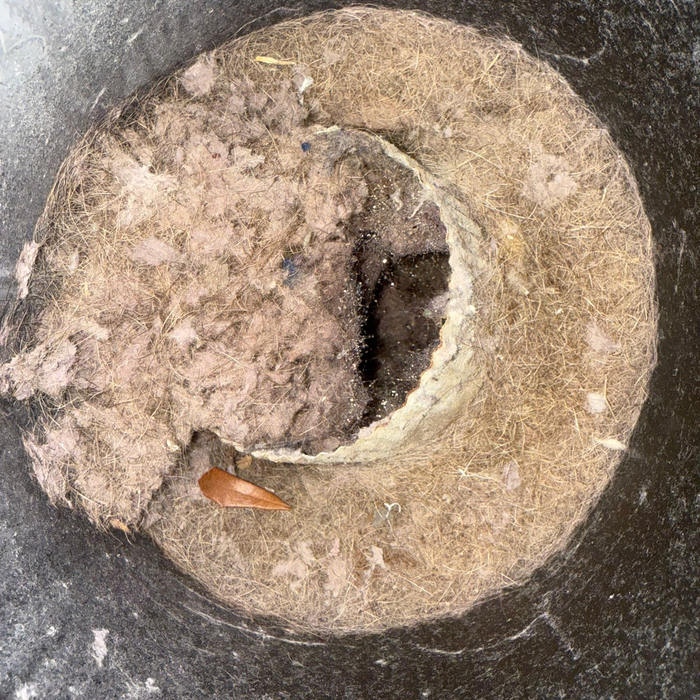 Additional Photos