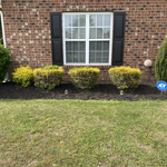 Additional Photos