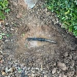 Landscaping Project