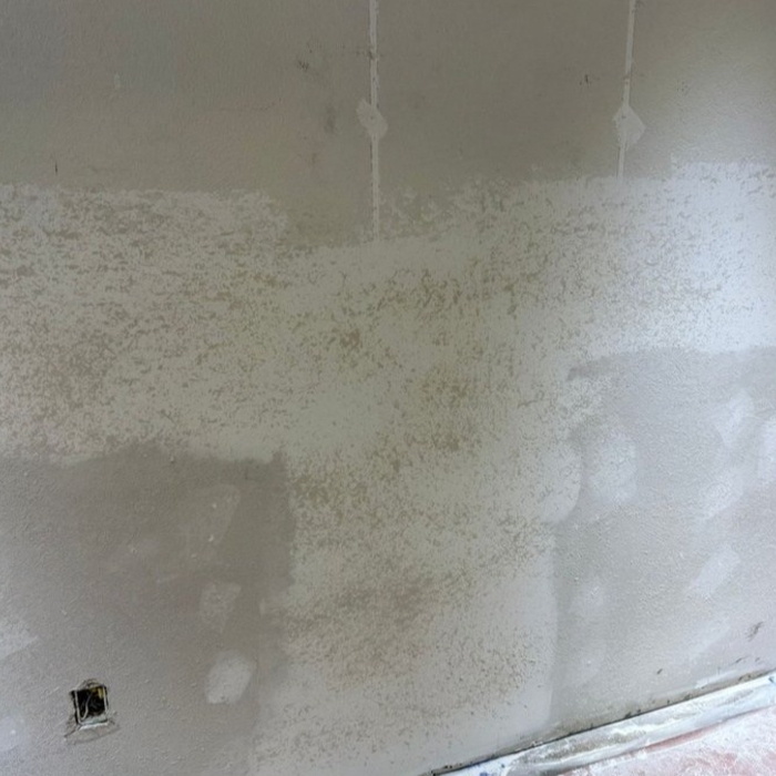 Before paint