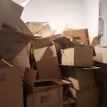 Organization